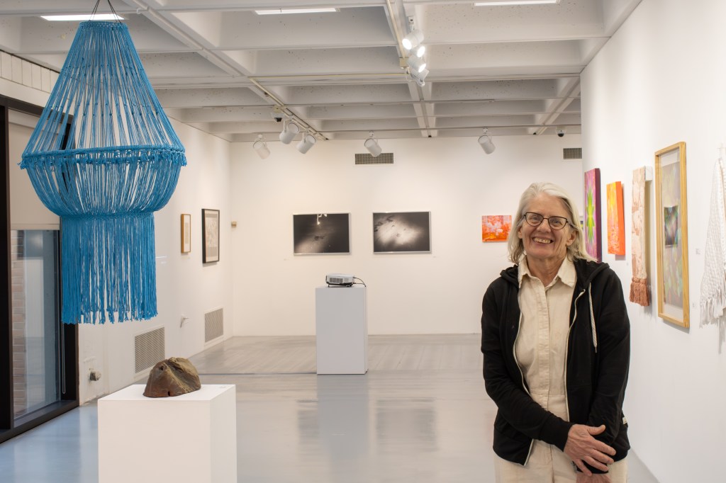 DCCC Welcomes Jane Irish: A Look Into the 215|610 Contemporary Juried&nbsp;Exhibition